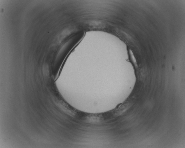 X0000081270756200702012153