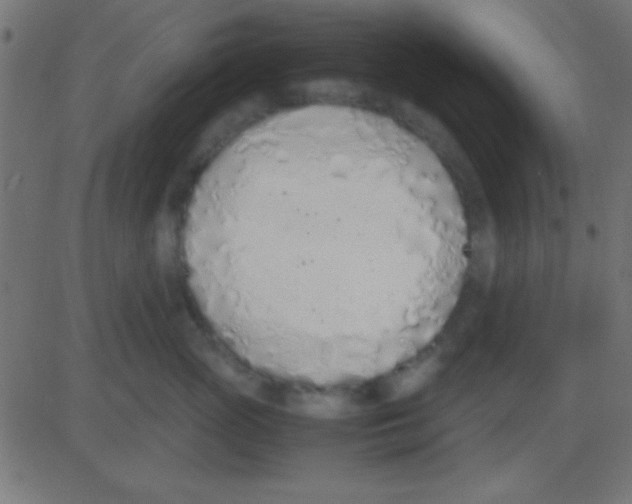 X0000081270765200702012153