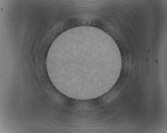 X0000081270769200702012153