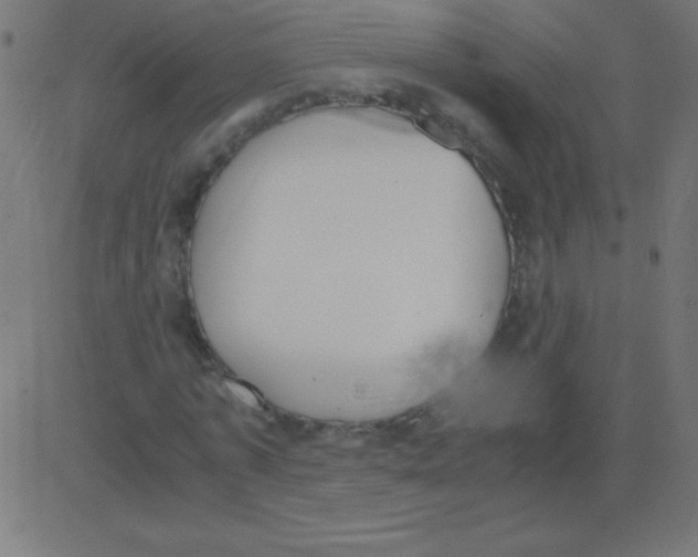 X0000081270773200702012152