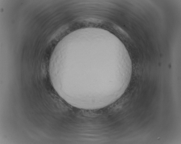 X0000081270774200702012152