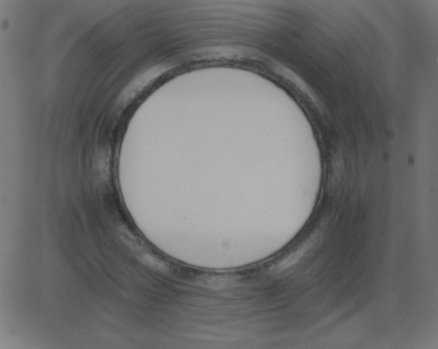 X0000081270778200702012152