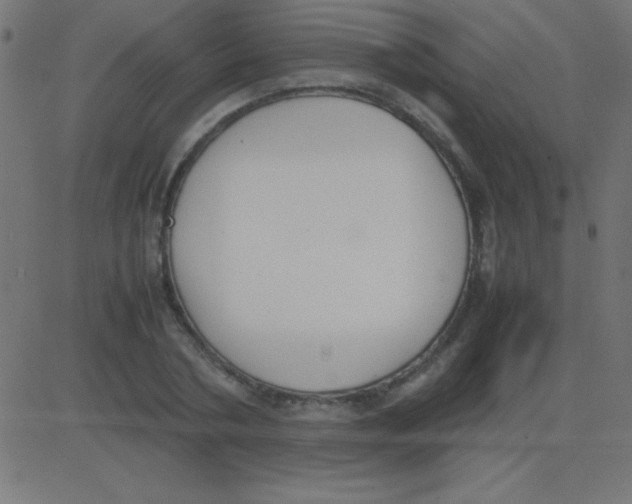 X0000081270786200702012152