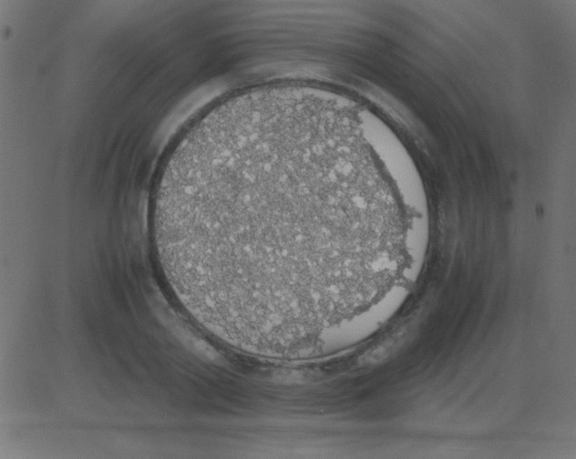 X0000081270790200702012152
