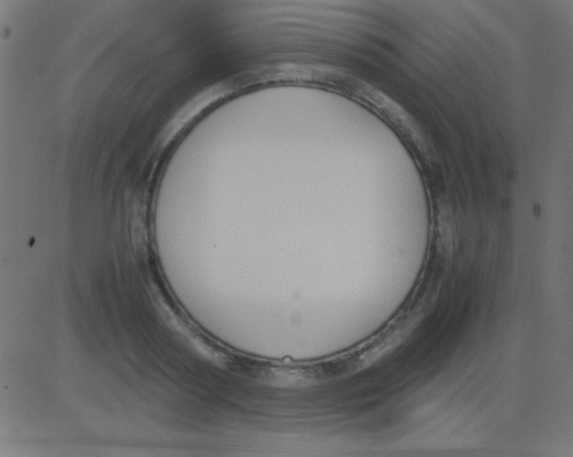 X0000081270794200702012152