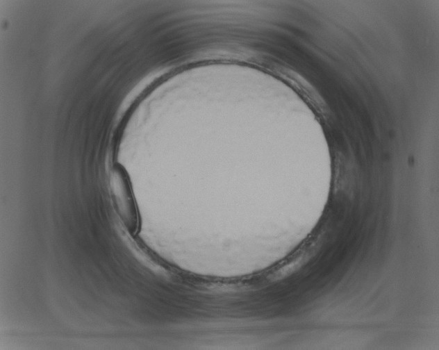 X0000081270796200702012152