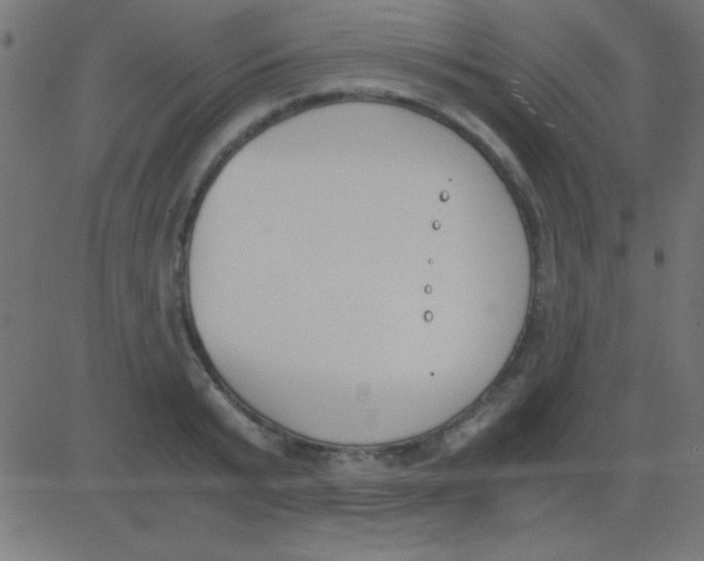X0000081270799200702012152