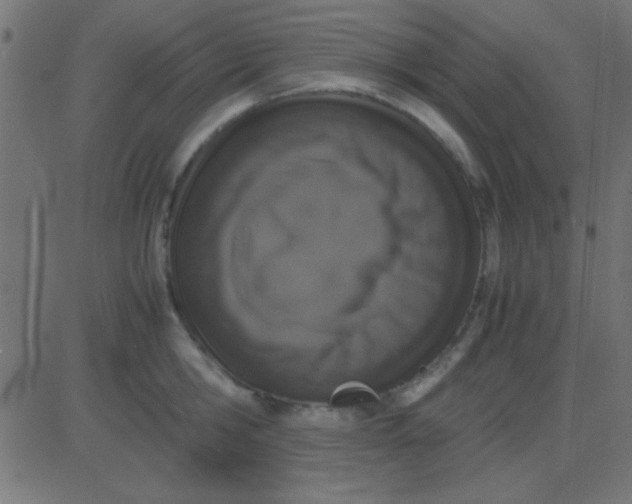 X0000081270806200702012152
