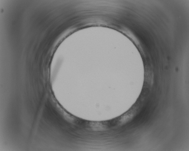 X0000081270807200702012152