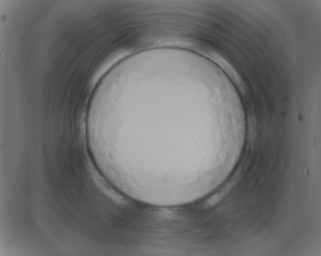 X0000081270814200702012152
