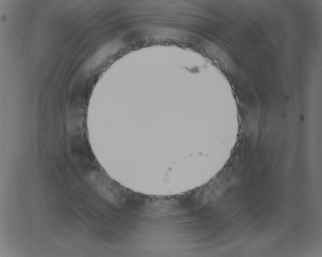 X0000081270824200702012151