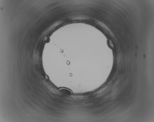 X0000081270825200702012151