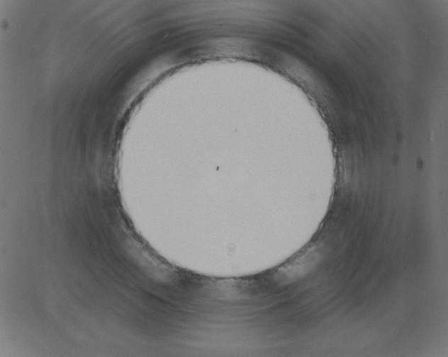 X0000081270828200702012151