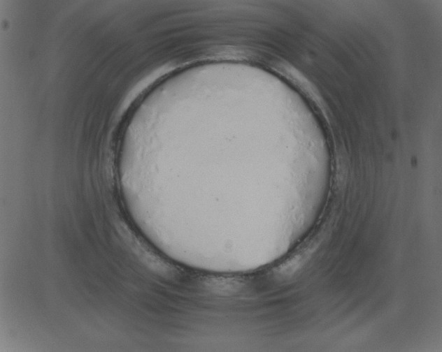 X0000081270835200702012151