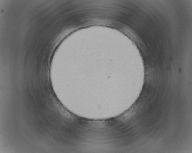 X0000081270836200702012151