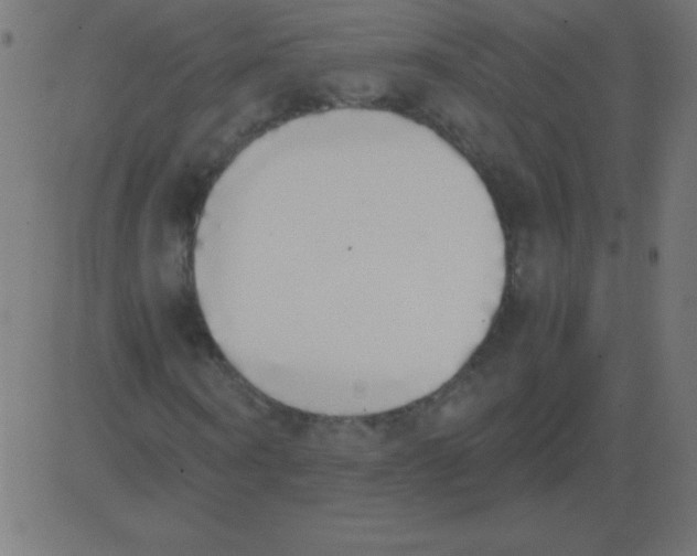 X0000081270866200702012151