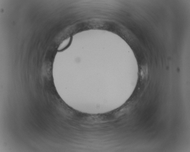 X0000081270867200702012151