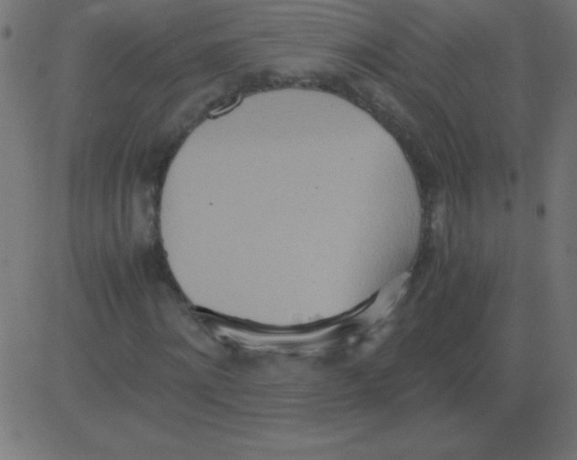 X0000081270868200702012151