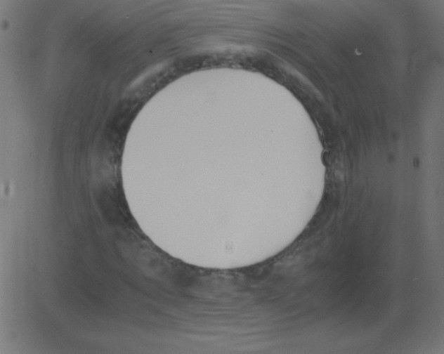 X0000081270869200702012151