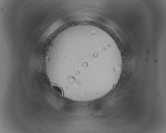 X0000081270871200702012151