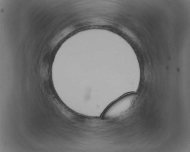 X0000081270873200702012151