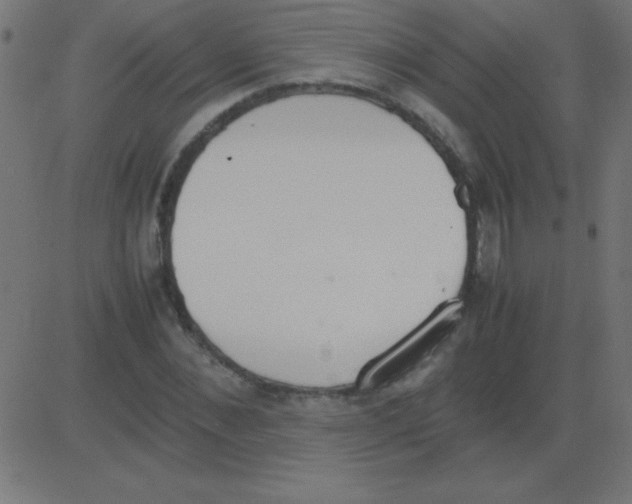 X0000081270876200702012151