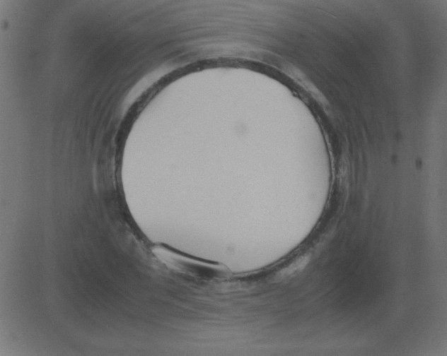 X0000081270877200702012151