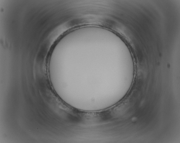 X0000081270883200702012151