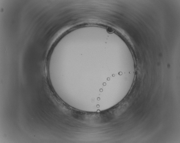 X0000081270887200702012151
