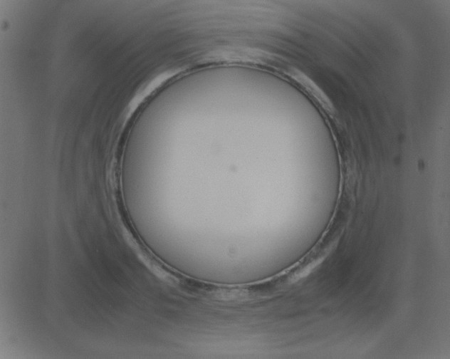 X0000081270893200702012151