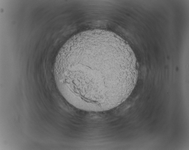X0000081270913200702012149