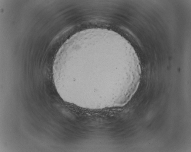 X0000081270919200702012150