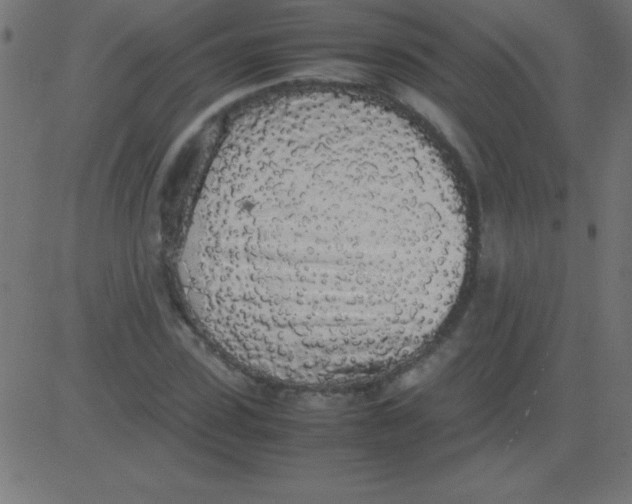 X0000081270923200702012150