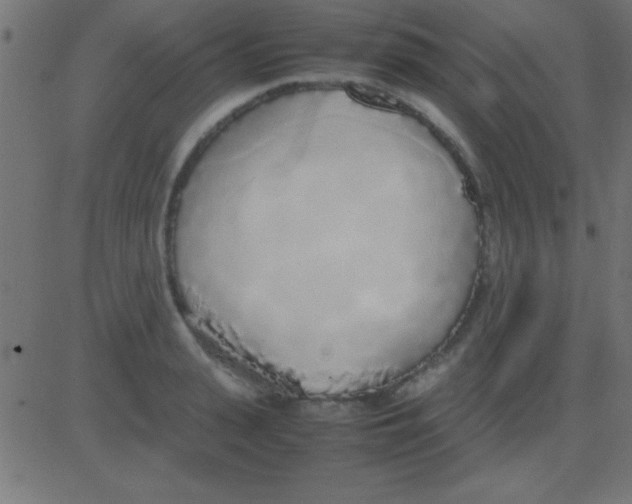 X0000081270943200702012150