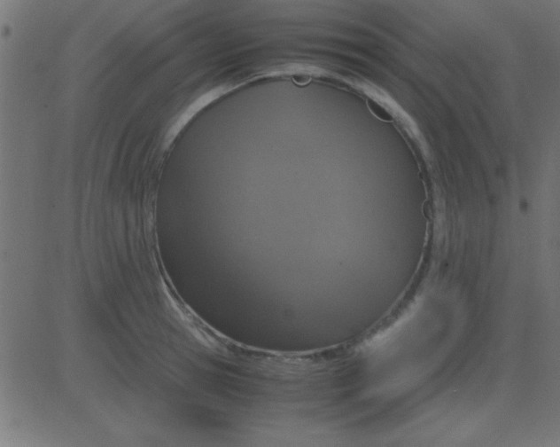 X0000081270945200702012150