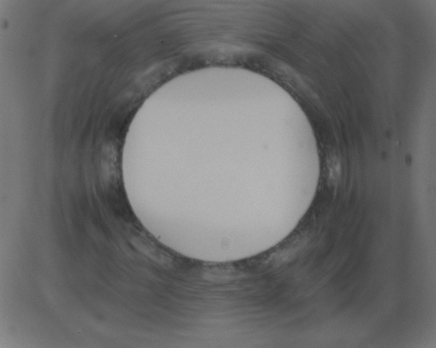 X0000081270964200702012149