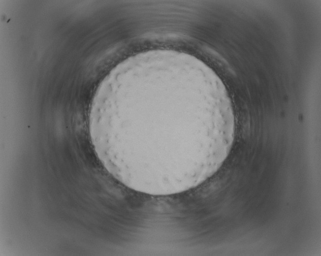 X0000081270966200702012149