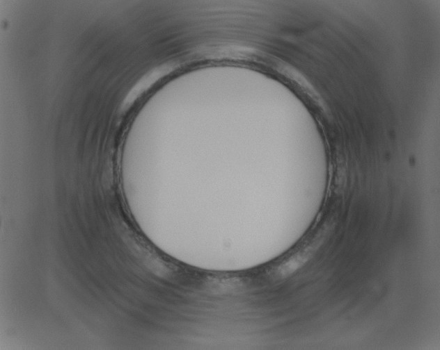 X0000081270978200702012149