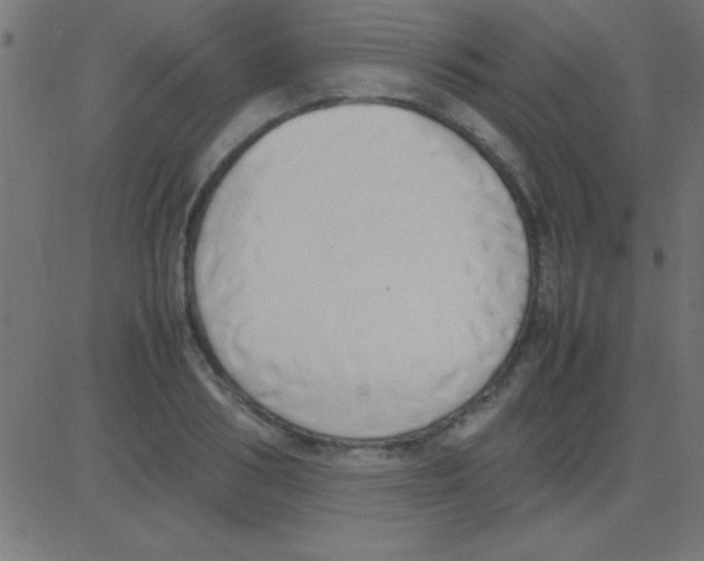 X0000081270986200702012149