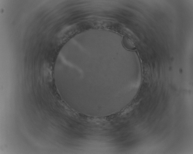 X0000081271013200702012148