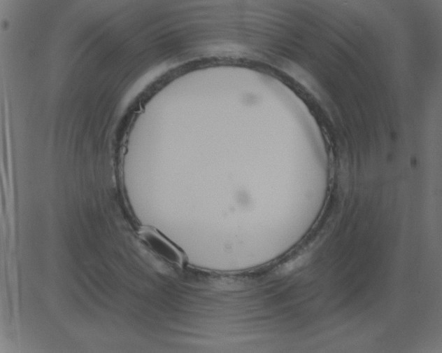 X0000081271022200702012148