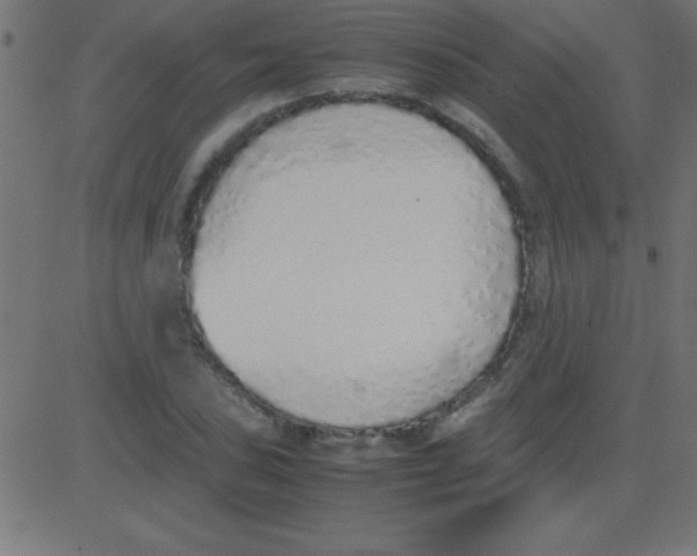 X0000081271027200702012148