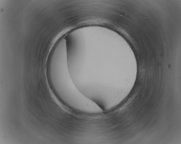 X0000081271034200702012148
