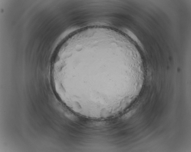 X0000081271035200702012148