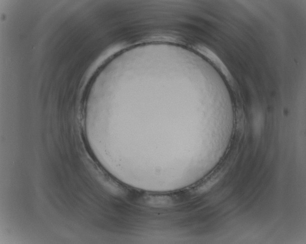 X0000081271043200702012148