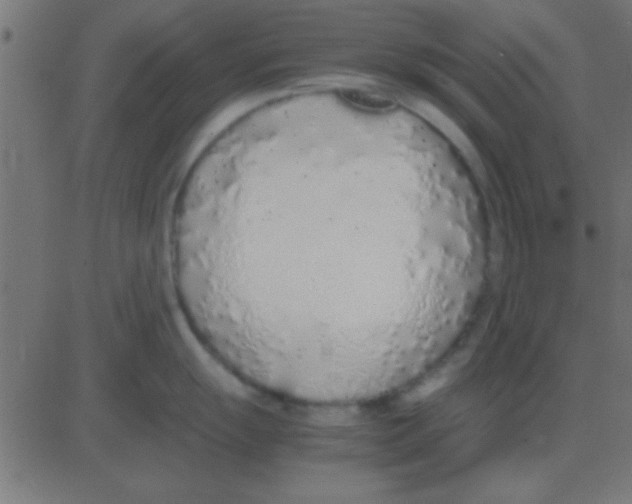 X0000081271055200702012149