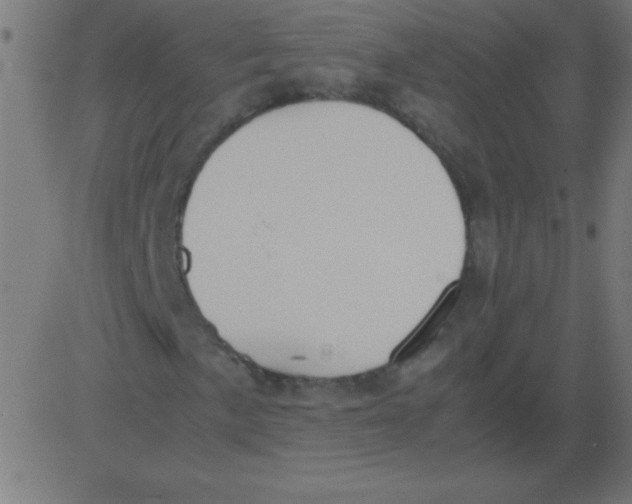 X0000081271057200702012148