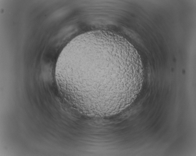X0000081271060200702012148