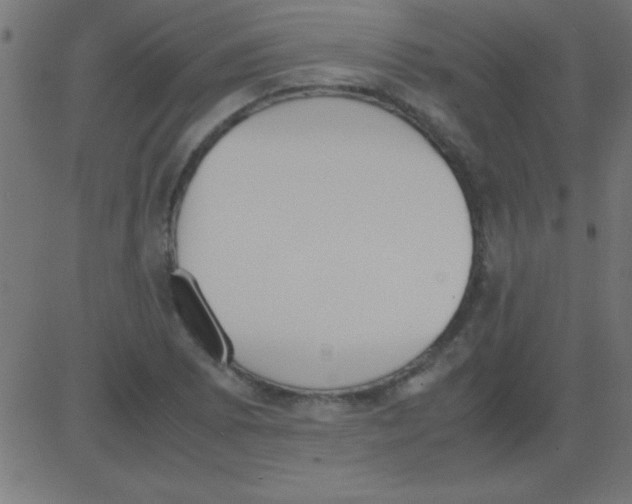 X0000081271073200702012148