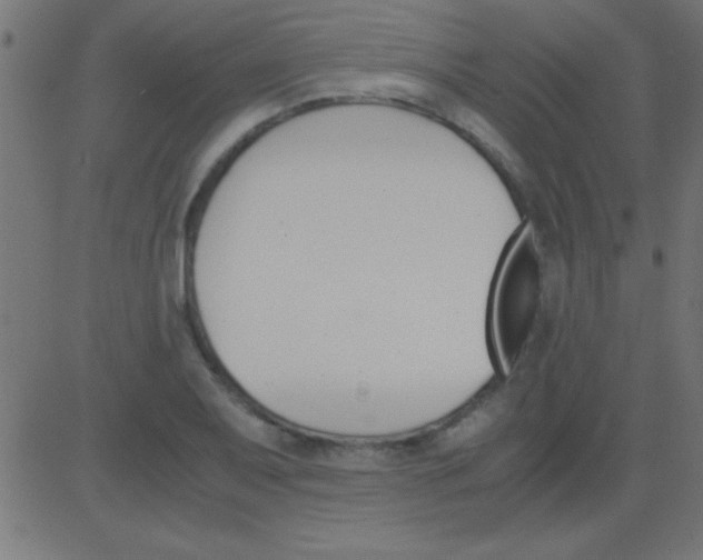 X0000081271079200702012147